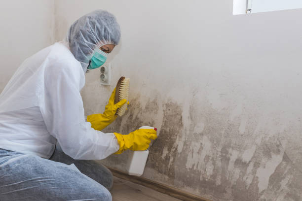 Crawl Space Mold Removal in Pearisburg, VA