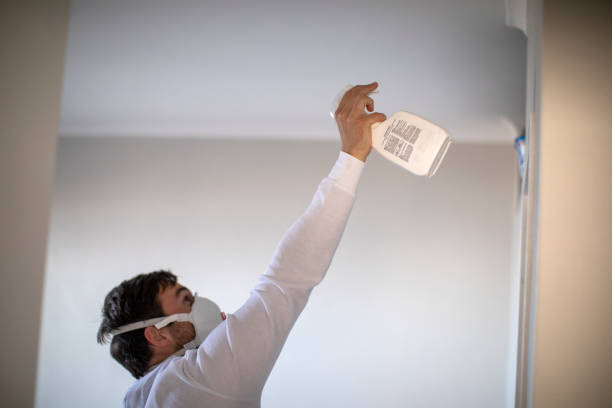 Best Crawl Space Mold Removal  in Pearisburg, VA