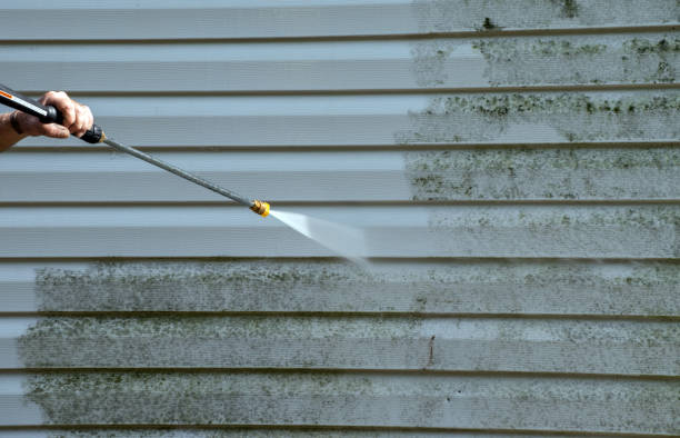 Best Mold Cleaning Services  in Pearisburg, VA