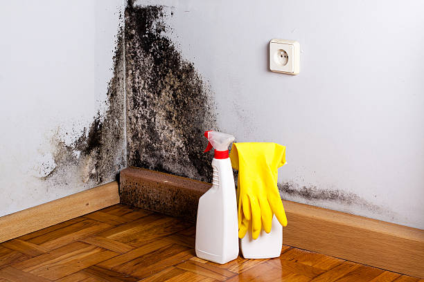 Best Water Damage Restoration  in Pearisburg, VA