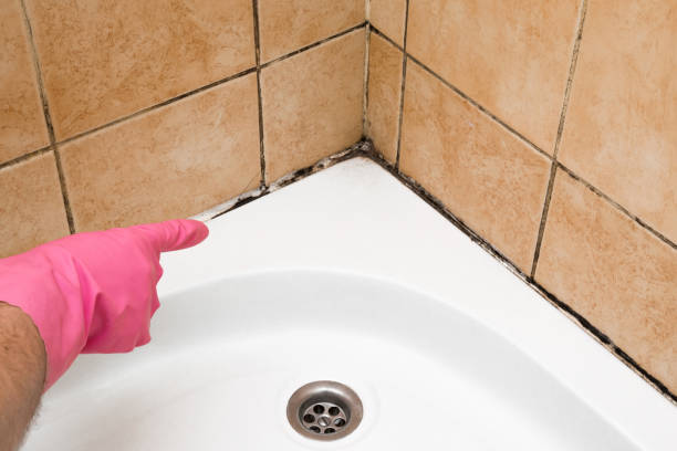 Best Best Mold Removal Companies  in Pearisburg, VA